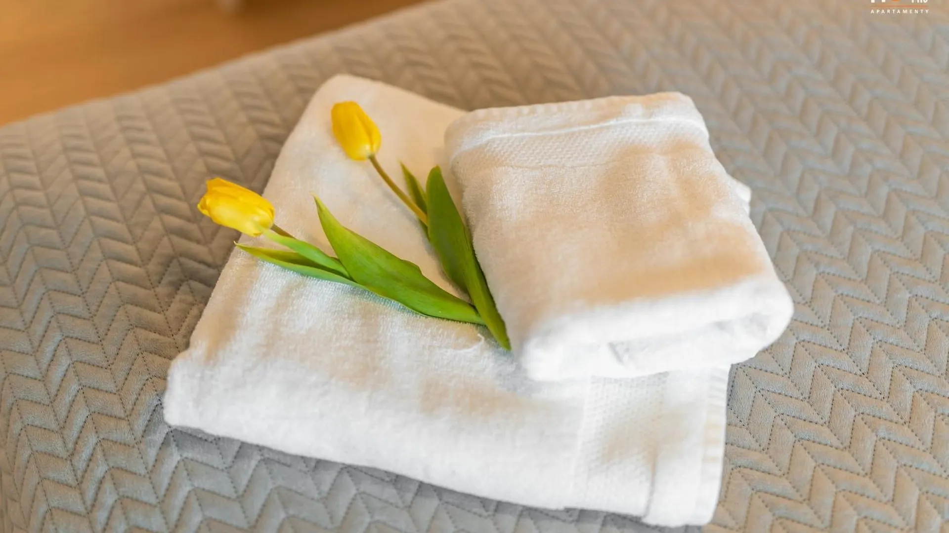 Apartment Polanki Aqua Premium Class Fitness&Spa Kolobrzeg Poland